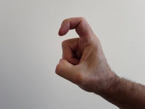 Vinger